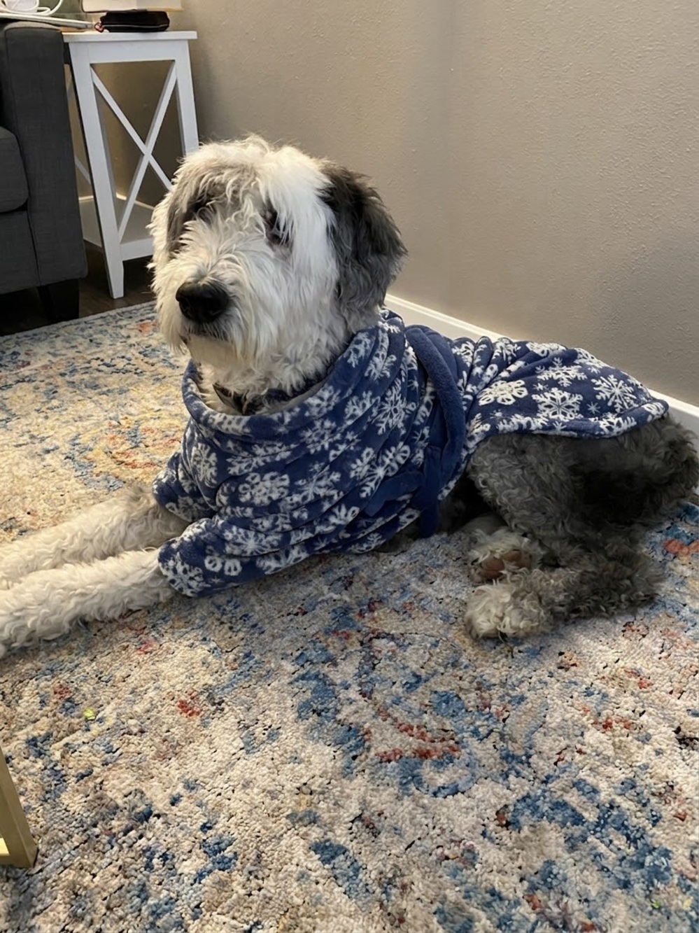 Cozy Blue Snowflake Dog Robe - Soft Fleece Pet Wrap size XL